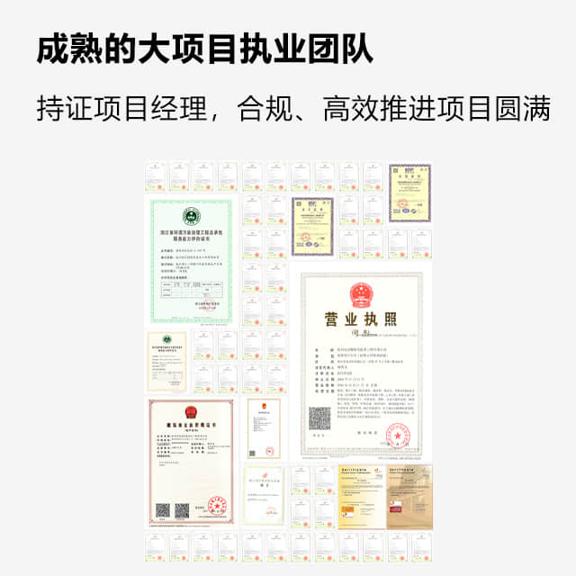 成熟的大項目執業團隊